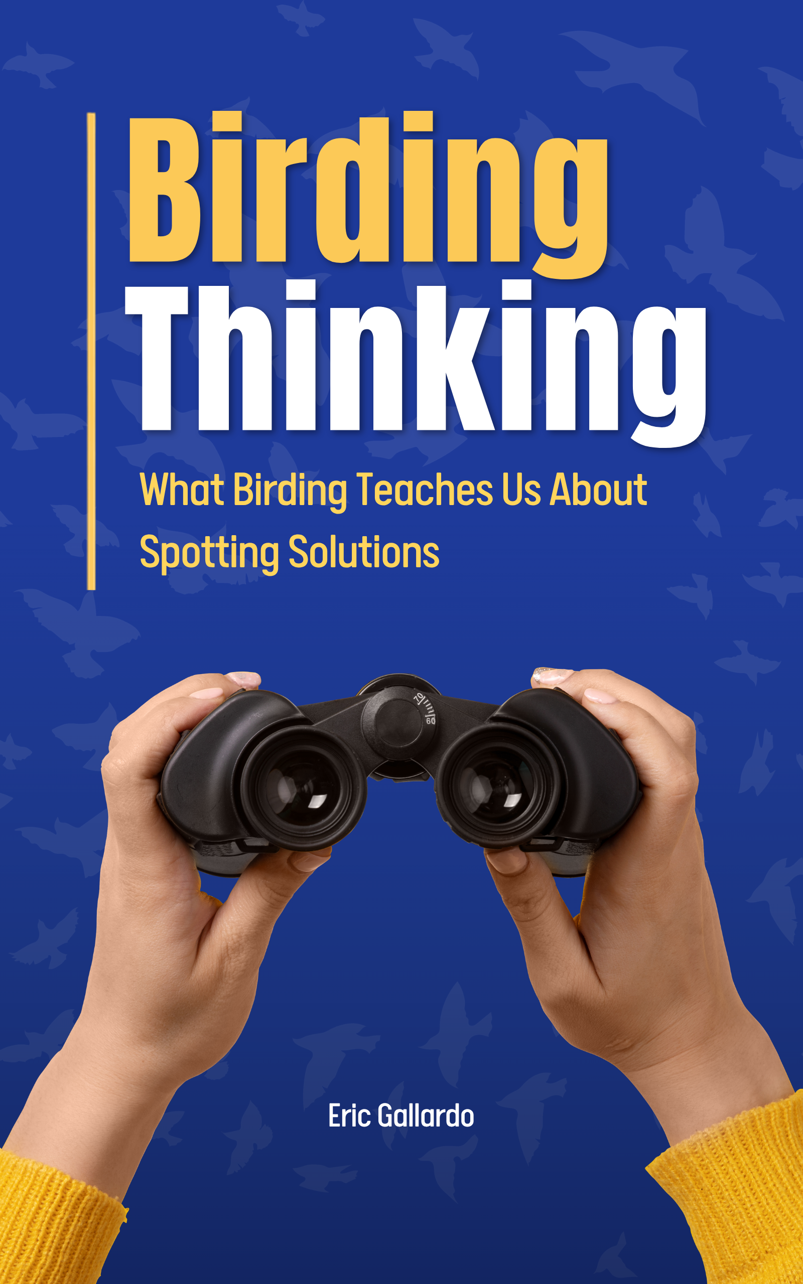 Birding Thinking book cover